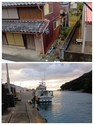 20251212_202602-COLLAGE_コピー