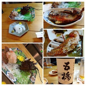 20251212_190819-COLLAGE_コピー