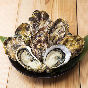 03241457_5ab5e8c8ec5f5_コピー