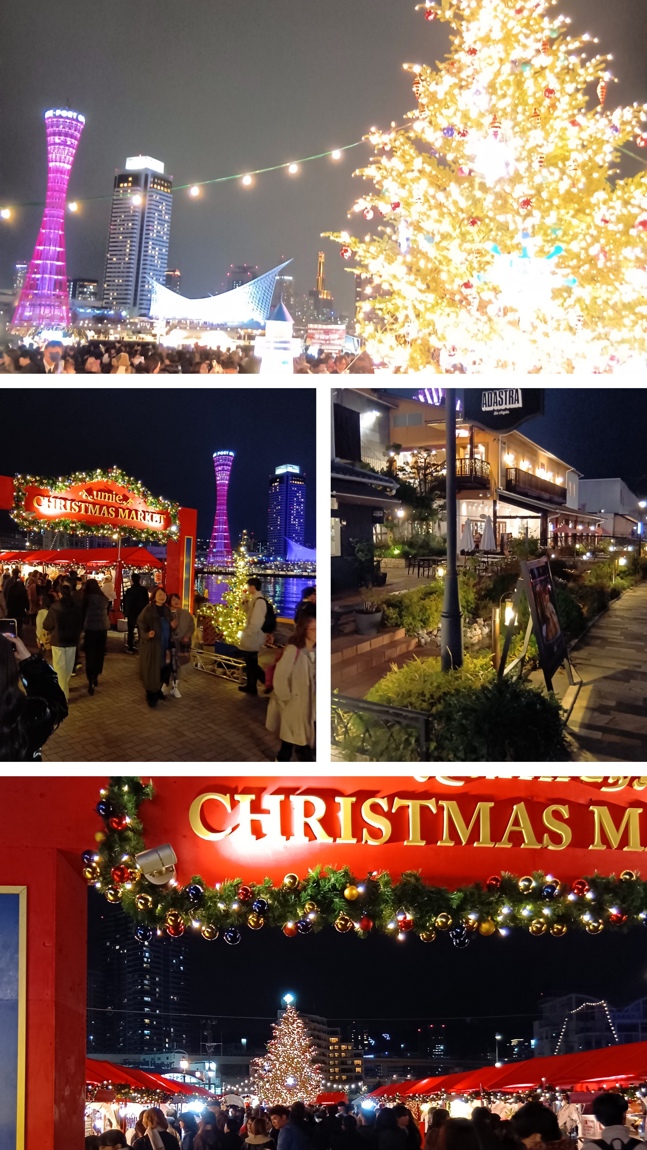 20251224_030927-COLLAGE