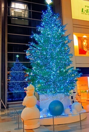 251117174903585~2_コピー