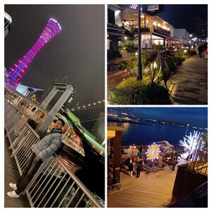 20251224_032456-COLLAGE_コピー