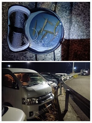 20260119_185555-COLLAGE_コピー