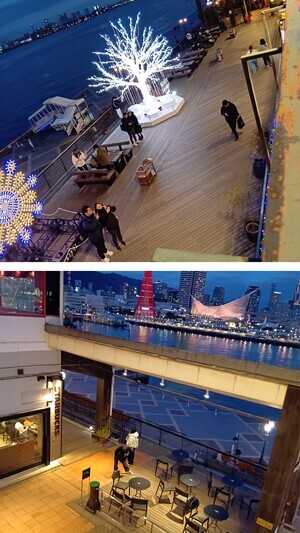 20260127_035321-COLLAGE_コピー