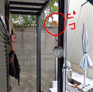 260208132710105~2_コピー