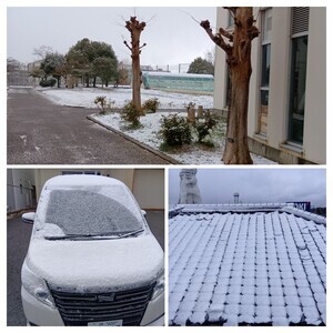 20260208_154211-COLLAGE_コピー