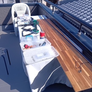 260309095704321_コピー