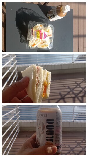 20260324_081328-COLLAGE_コピー