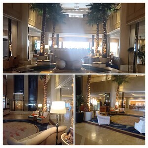 20260324_081511-COLLAGE_コピー