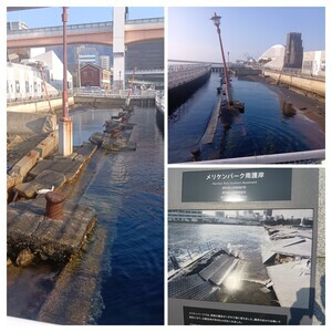 20260324_082322-COLLAGE_コピー