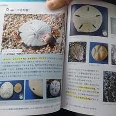 260401135211013_コピー