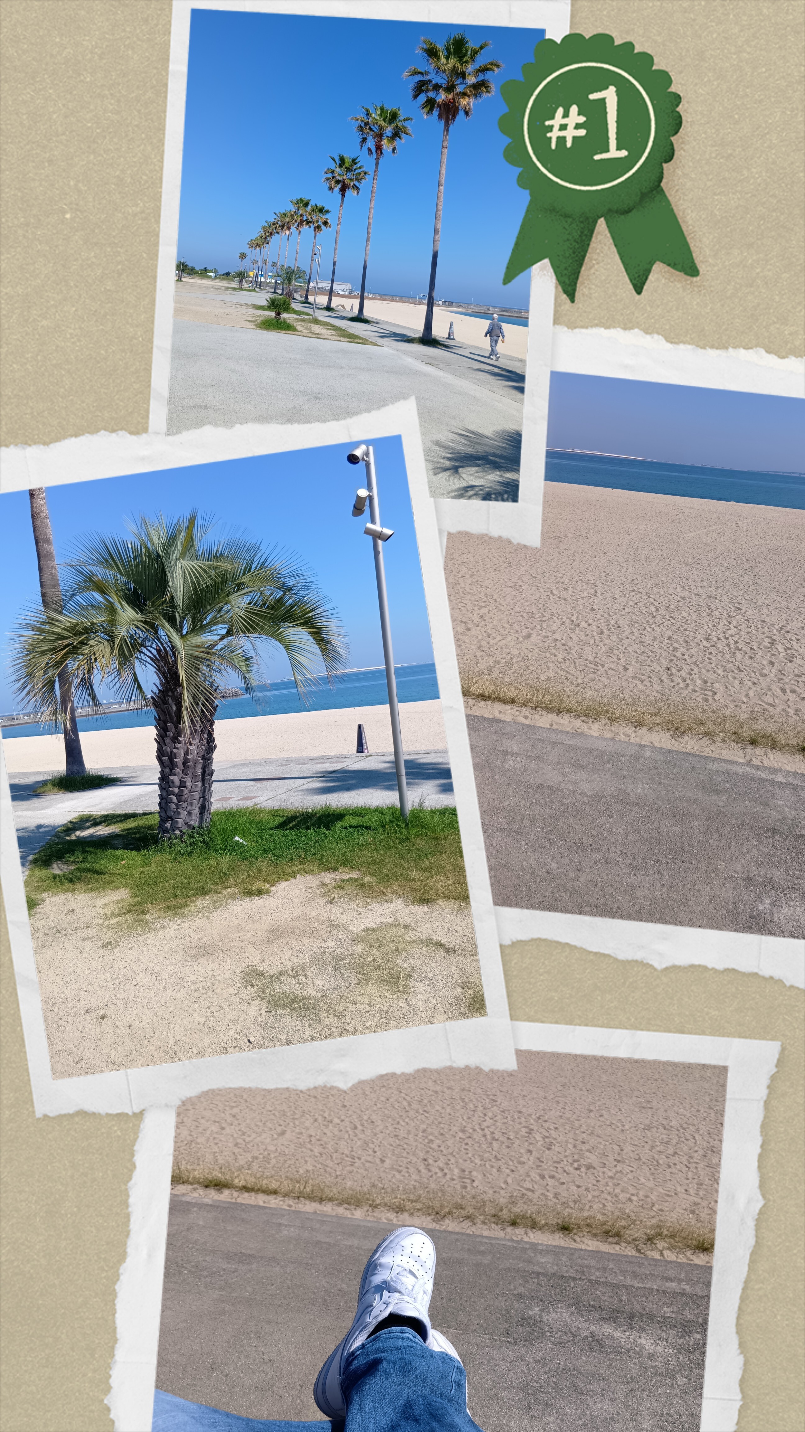20260517_085206-COLLAGE