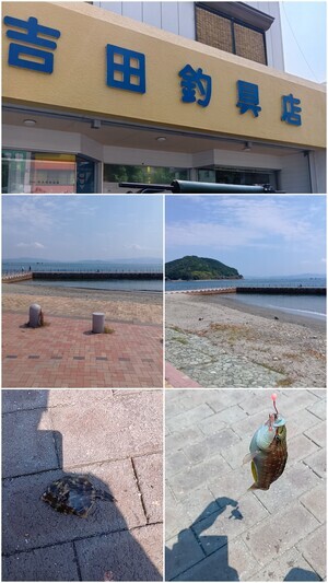 20260806_011656-COLLAGE_コピー
