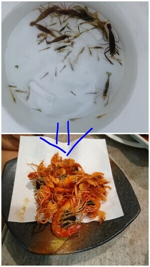 20260805_010512-COLLAGE~2_コピー