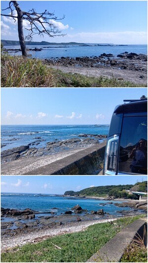 20261013_233610-COLLAGE_コピー